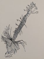 Odd deep sea merperson